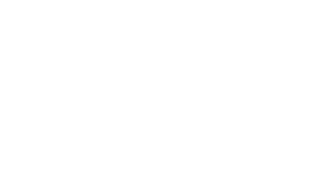 Diane's Place Logo