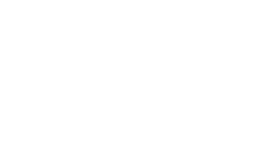 Speedpro Logo
